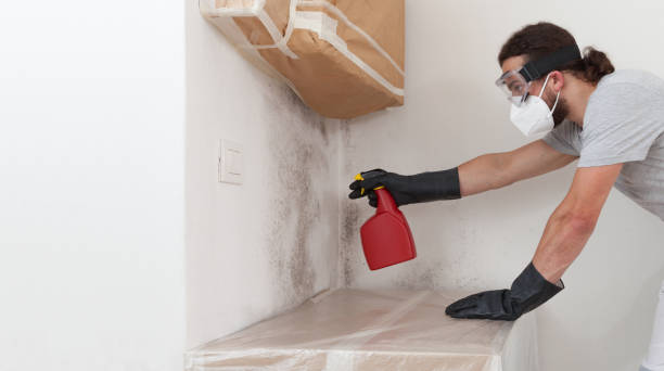 Professional Bathroom Mold Removal technician working in Comstock Park, MI
