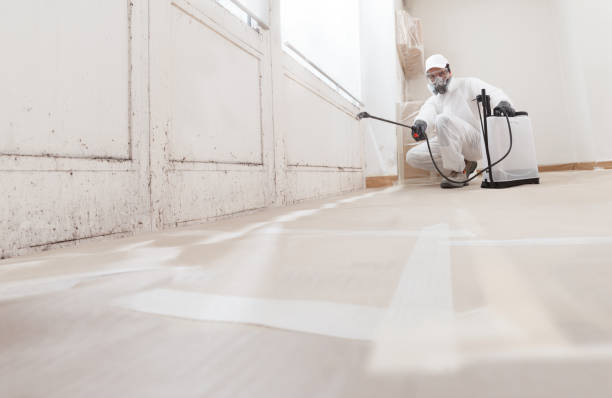 24/7 Emergency Bathroom Mold Removal experts in Comstock Park, MI